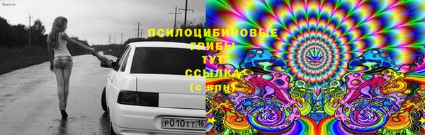 бошки Арсеньев