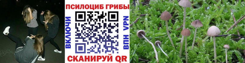 Галлюциногенные грибы Magic Shrooms  Райчихинск 